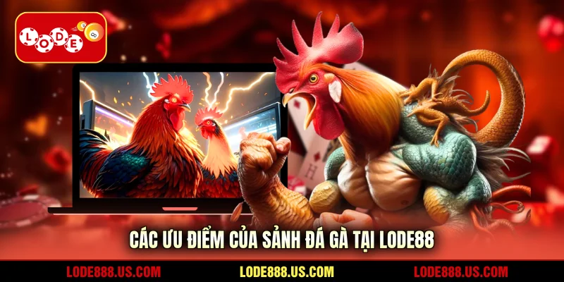Các ưu điểm của sảnh đá gà tại LODE88