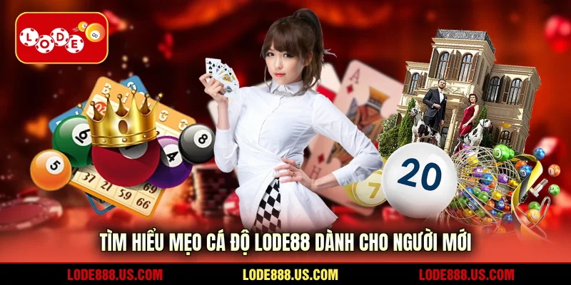 Tìm hiểu mẹo cá độ LODE88 dành cho người mới